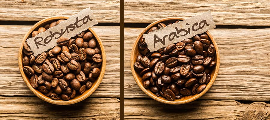 بررسی تخصصی و دقیق 10 مورد تفاوت‌های اصلی دانه‌های قهوه عربیکا و روبوستا