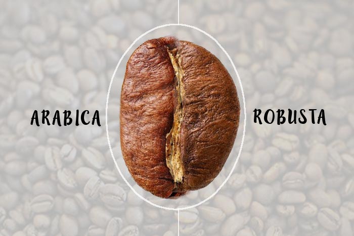بررسی تخصصی و دقیق 10 مورد از تفاوت‌های اصلی دانه‌های قهوه عربیکا و روبوستا
