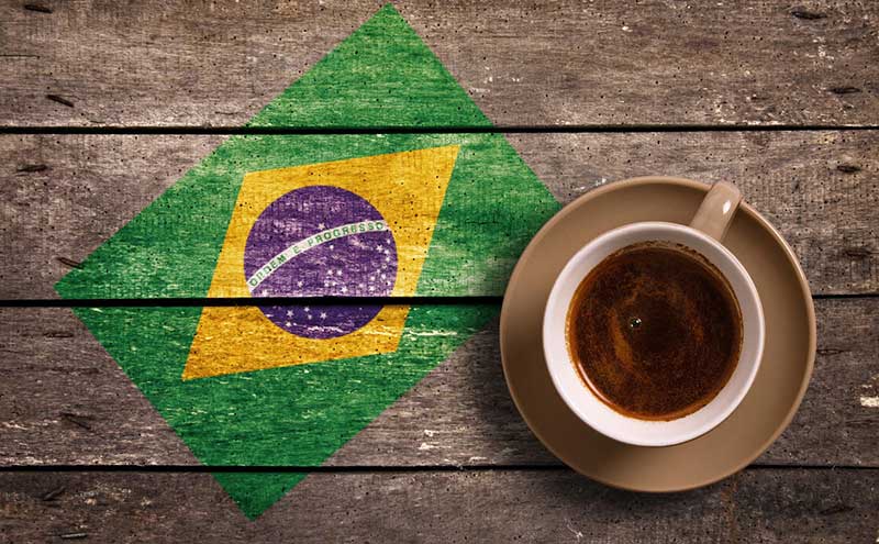 مزرعه قهوه داترا در برزیل Daterra؛ کشت انواع دانه قهوه با احترام به توسعه پایدار