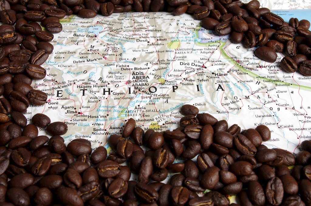 مشخصات قهوه اتیوپی به عنوان قدیمی‌ترین قهوه دنیا؛ نوشیدنی که قبل از مرگ باید نوشید