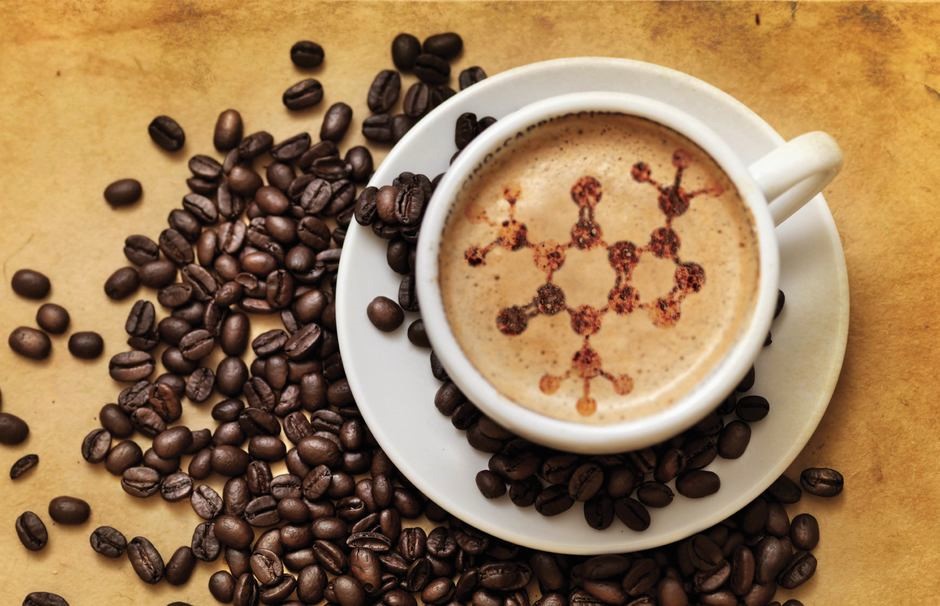 بیولوژی قهوه به عنوان یکی از پرمصرف‌ترین نوشیدنی‌های جهان را بیشتر بشناسید
