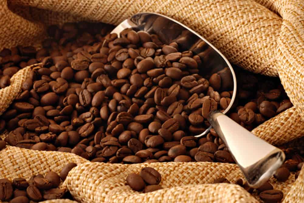 راهنمای کامل قهوه کلمبیا؛ از تولید و کشت تا طرز تهیه و دم‌آوری قهوه کلمبیا