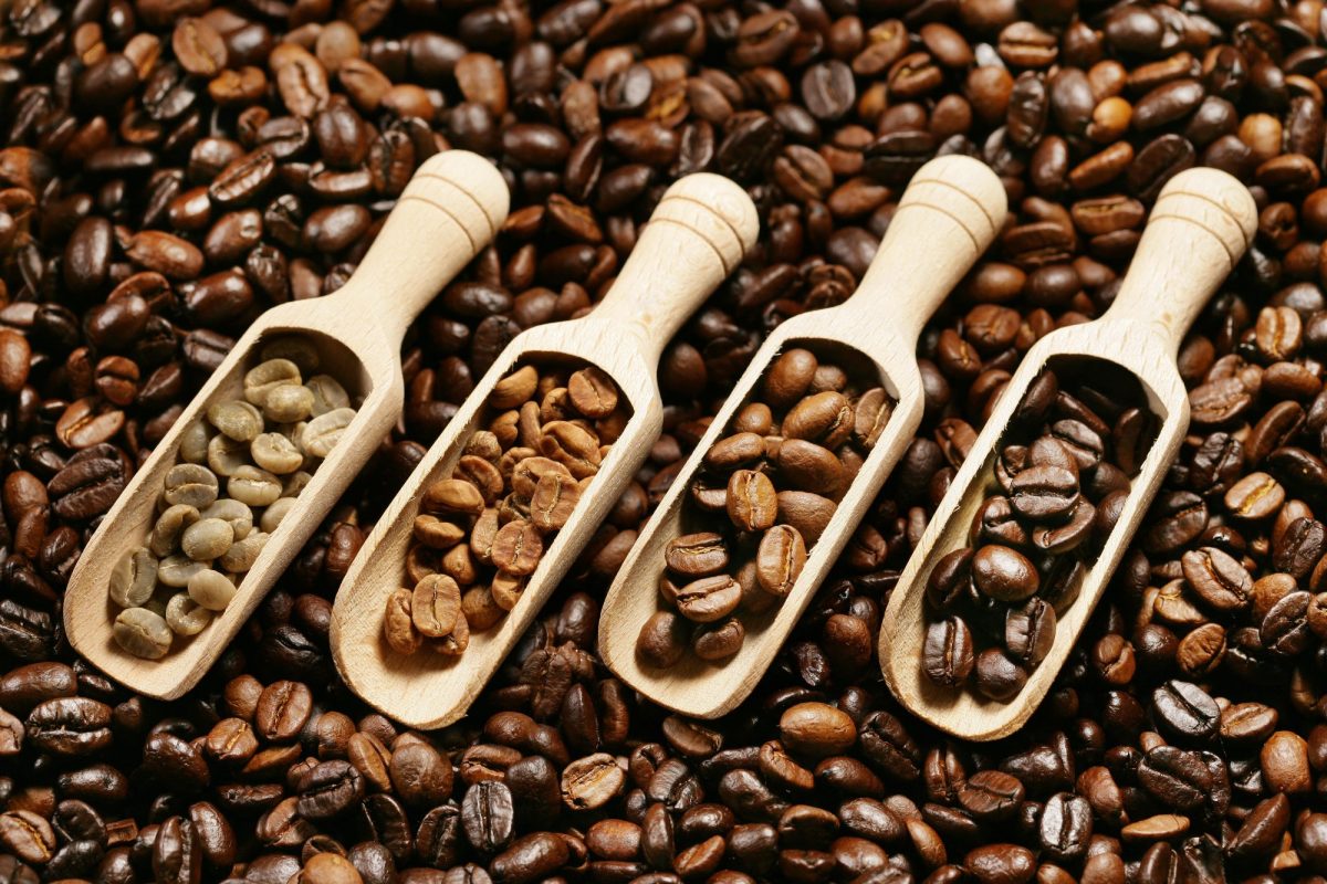 کدام قهوه کافئین بیشتری دارد؛ دانه‌های تیره قهوه کافئین بیشتری دارند یا دانه‌های روشن؟