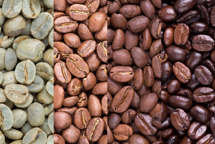 کدام سطح رُست دانه قهوه کافئین بیشتری دارد؟
