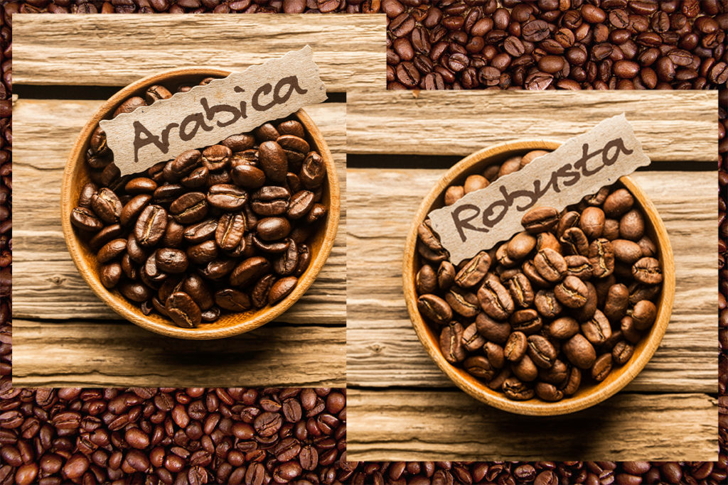قهوه 100% عربیکا به چه معناست و آیا کیفیت قهوه را تضمین می‌کند؟