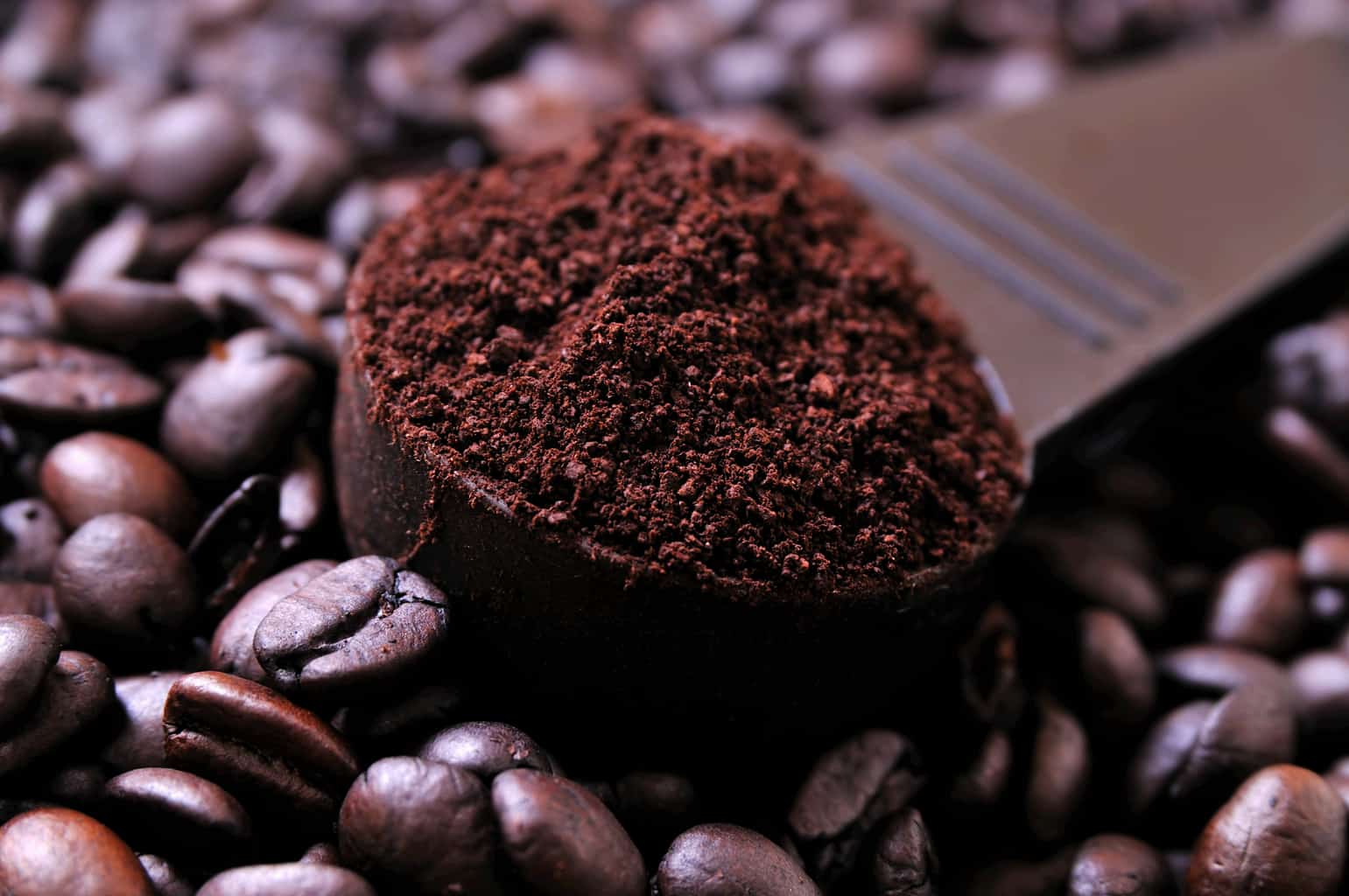 رست تخصصی قهوه؛ نگاهی به برشته‌کاری تیره در صنعت قهوه