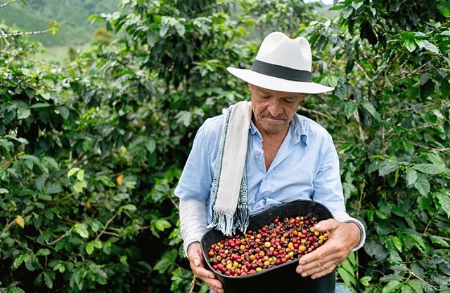 تاریخچه مختصری از قهوه کلمبیا