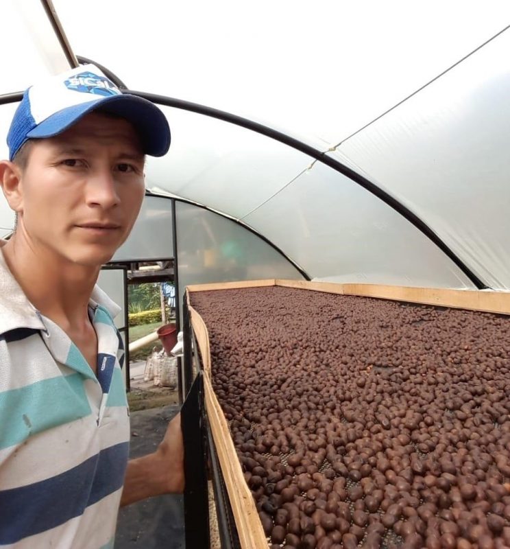 دانه قهوه کلمبیا نانولات از  مزرعه El Diviso