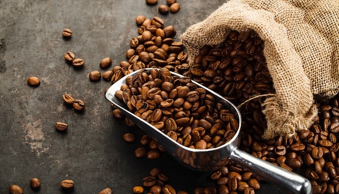 اطلاعاتی در مورد دانه اولیه: چند نوع قهوه وجود دارد؟