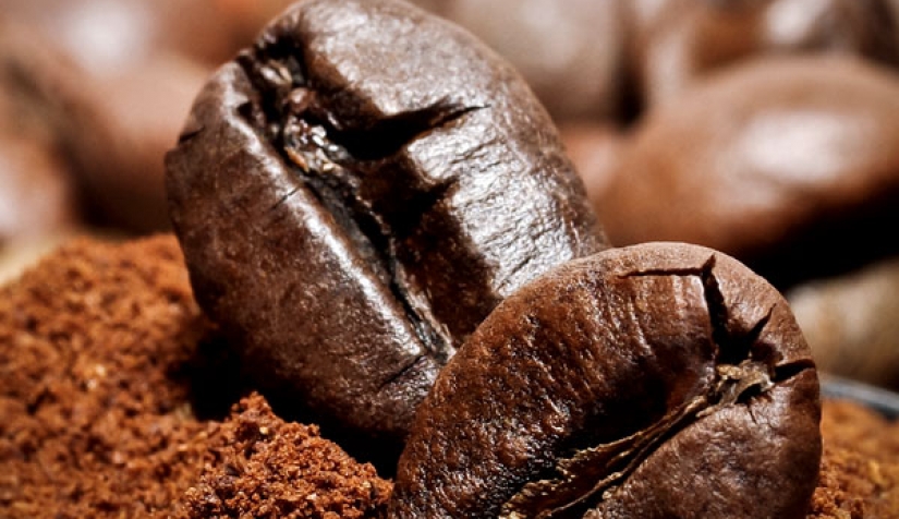 کدام عوامل بر کیفیت و طعم قهوه اثر می گذارند؟