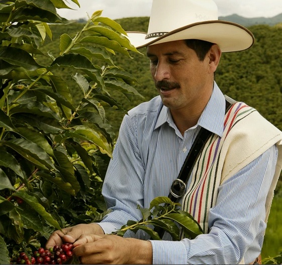 دانه قهوه کلمبیا