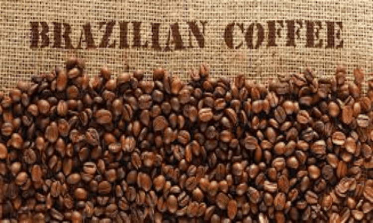 موارد مهم در خرید قهوه برزیل آنلاین