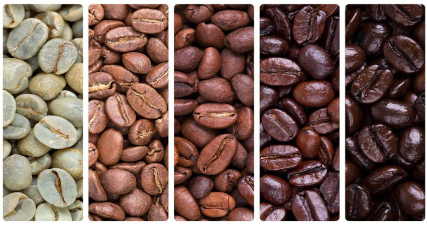 رنگ دانه قهوه عربیکا یا روبوستا برای اسپرسو