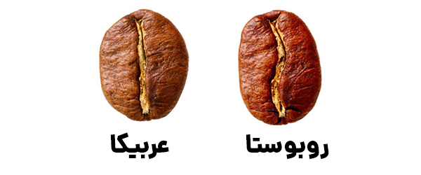 قهوه عربیکا باکیفیت
