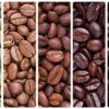 انواع قهوه و خواص آن
