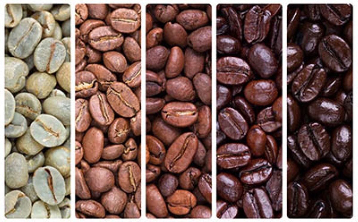انواع قهوه و خواص آن