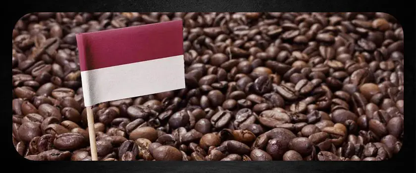 مقدار کافئین در قهوه اندونزی