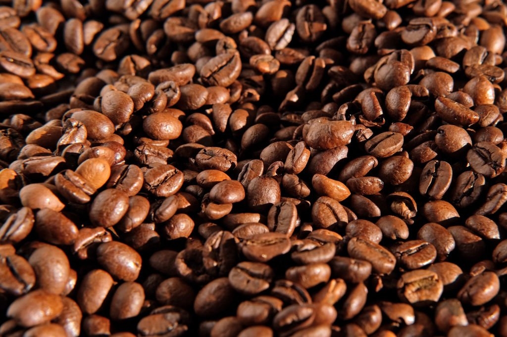 تاثیر پودر قهوه بر طول عمر