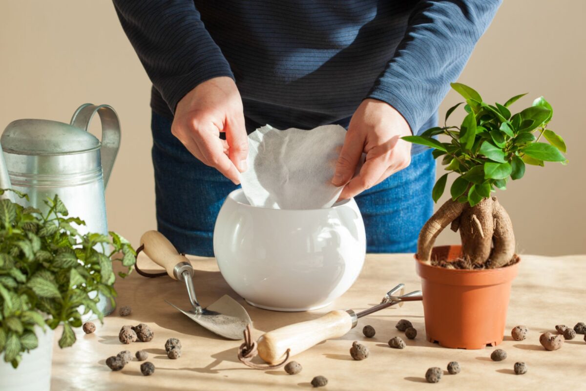 قرار دادن فیلتر قهوه به عنوان آستر کف گلدان برای جلوگیری از ریزش خاک و زهکشی بهتر گیاهان.