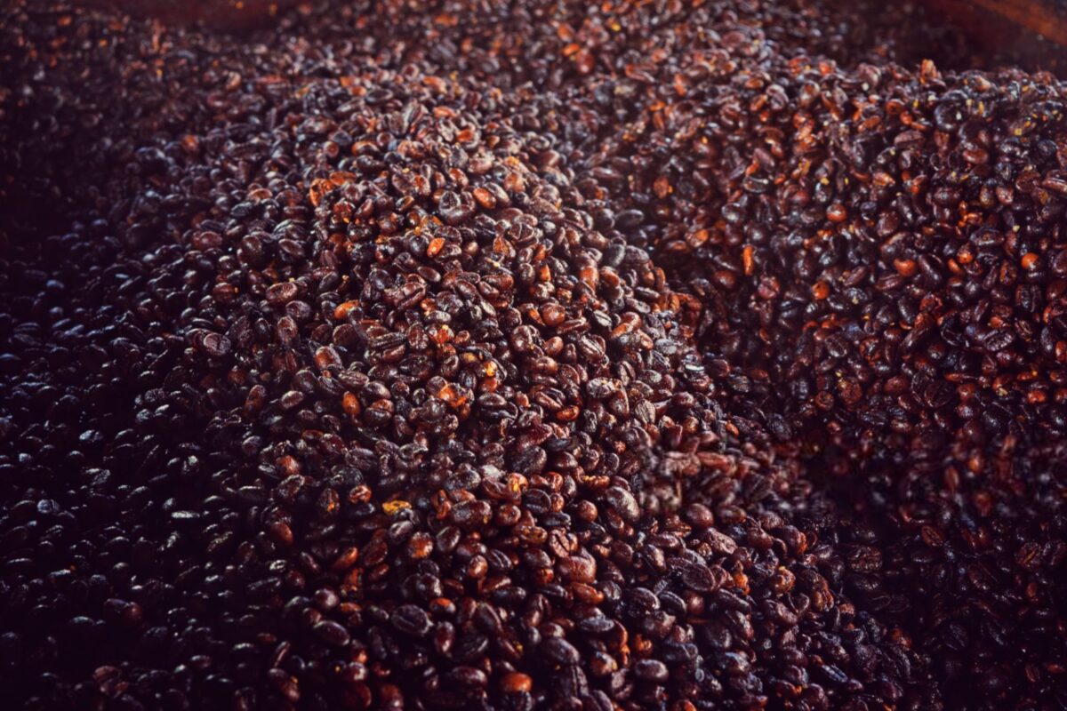 تخمیر گیلاس‌های قهوه برای تولید قهوه بی‌هوازی