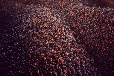 تخمیر گیلاس‌های قهوه برای تولید قهوه بی‌هوازی