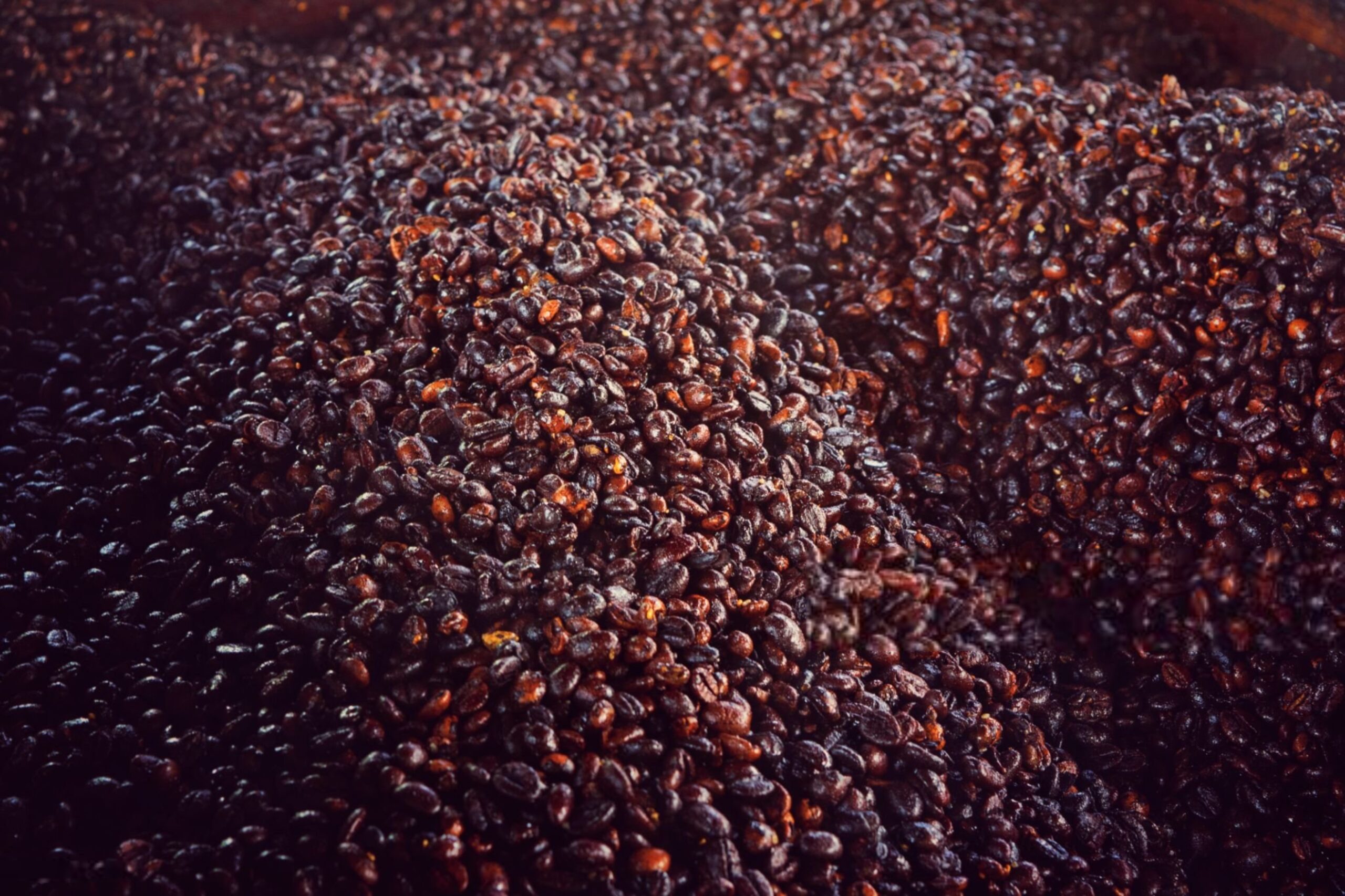 تخمیر گیلاسهای قهوه برای تولید قهوه بیهوازی